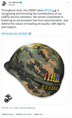 usgay.jpg