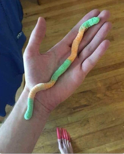 big_gummy.png
