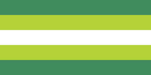 kiwi trans.png