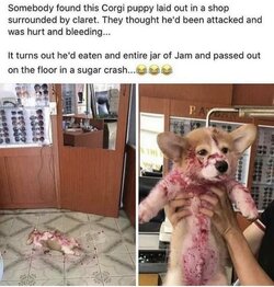tumblr_4e47e1c42e2e29a38d3b0b771973da9d_bc252acd_1280.jpg
