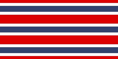 Chris Chan Pride Flag.JPG