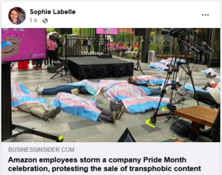 Screenshot 2022-06-02 at 15-14-00 Sophie Labelle.png