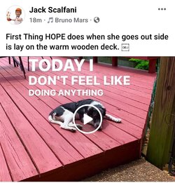 Screenshot_20220602-115329_Facebook.jpg