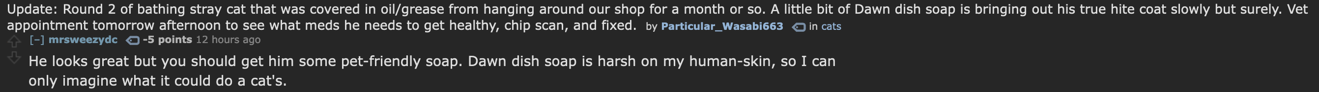 Screenshot 2022-06-03 at 11.06.59.png