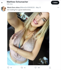 obviousbot.PNG