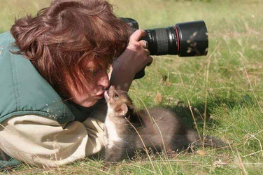 weasel and photograher.png