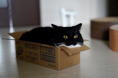tumblr_8fd5cc027fd1e608027c08f728b55c99_63b151e7_500.jpg