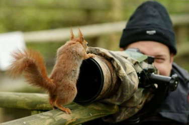 squirrel and photographer.png