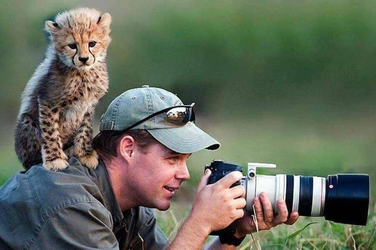 cheetah cub and photographer.png
