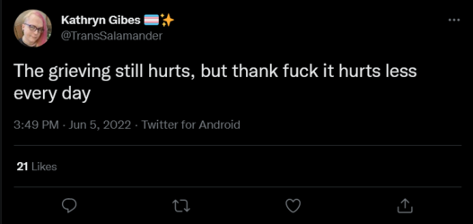 Screenshot 2022-06-05 at 16-53-28 Kathryn Gibes 🏳️‍⚧️✨ on Twitter.png