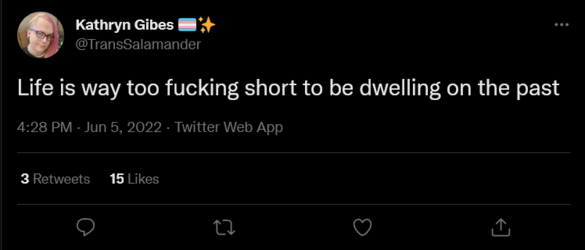 Screenshot 2022-06-05 at 16-53-53 Kathryn Gibes 🏳️‍⚧️✨ on Twitter.png