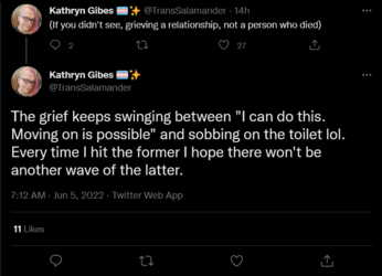 Screenshot 2022-06-05 at 16-55-28 Kathryn Gibes 🏳️‍⚧️✨ on Twitter.png
