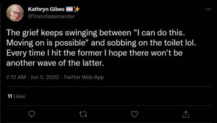Screenshot 2022-06-05 at 16-55-48 Kathryn Gibes 🏳️‍⚧️✨ on Twitter.png