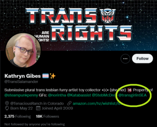 Screenshot 2022-06-05 at 17-00-54 Tweets with replies by Kathryn Gibes 🏳️‍⚧️✨ (@TransSalamande...png