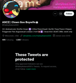 Screenshot 2022-06-05 at 17-02-46 ASC♊︎ Clown Goo Boywife (@HaileyAdamsXXX) on Twitter.png