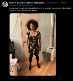 Screenshot 2022-06-05 at 17-04-34 Media Tweets by Nicki A Black trans polyam lesbian in Seattl...png