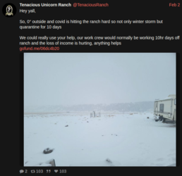 winter woes 2.PNG