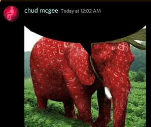 Screenshot_20220606-000334_Discord.jpg