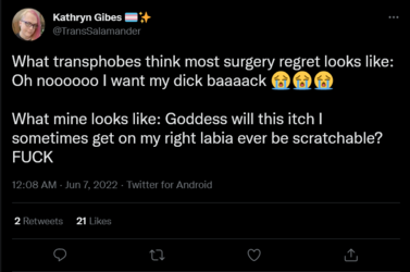 Screenshot 2022-06-07 at 00-11-51 Kathryn Gibes 🏳️‍⚧️✨ on Twitter.png