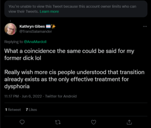 Screenshot 2022-06-07 at 00-13-11 Kathryn Gibes 🏳️‍⚧️✨ on Twitter.png