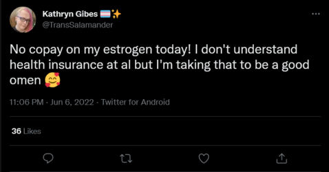 Screenshot 2022-06-07 at 00-13-41 Kathryn Gibes 🏳️‍⚧️✨ on Twitter.png
