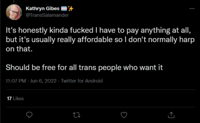 Screenshot 2022-06-07 at 00-13-56 Kathryn Gibes 🏳️‍⚧️✨ on Twitter.png