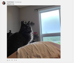 Capture.PNG