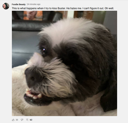 Untitled.png