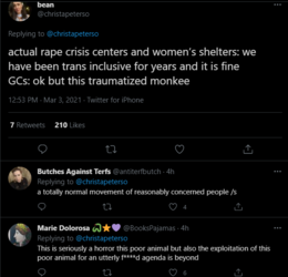 rape crisis and men.PNG