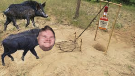 1654574187338.png