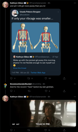 Screenshot 2022-06-07 at 12-10-13 Tweets with replies by Kathryn Gibes 🏳️‍⚧️✨ (@TransSalamande...png