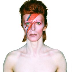 David-Bowie-is.jpg