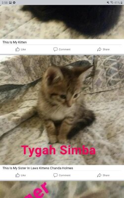 Screenshot_20220607-155822_Facebook.jpg