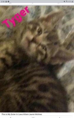 Screenshot_20220607-155827_Facebook.jpg