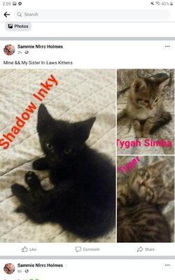 Screenshot_20220607-155922_Facebook.jpg