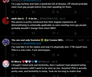 gay men do not like vagina 3.PNG
