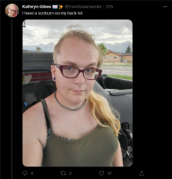 Screenshot 2022-06-09 at 00-55-55 Tweets with replies by Kathryn Gibes 🏳️‍⚧️✨ (@TransSalamande...png