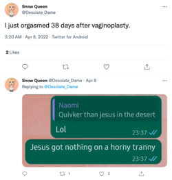 Fanny DesDam 11.png