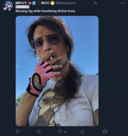 1654793536153.png