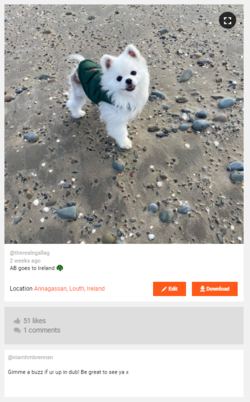 1654810294373.png