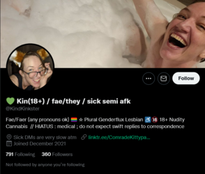 Screenshot 2022-06-10 at 00-24-24 💚 Kin(18 ) _ fae_they _ sick semi afk (@KindKinkster) _ Twit...png