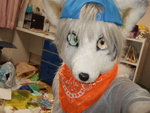 fursuit_by_radywolf.jpg