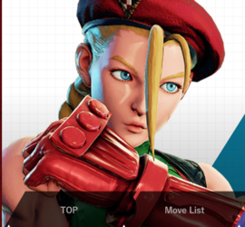 Screenshot 2022-06-10 at 12-37-28 Costumes CAMMY Character Data CAPCOM Shadaloo C.R.I.png