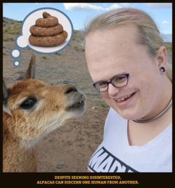 1654898644261.png