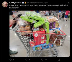Screenshot 2022-06-11 at 01-35-48 Tweets with replies by Kathryn Gibes 🏳️‍⚧️✨ (@TransSalamande...png