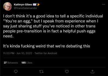 Screenshot 2022-06-11 at 01-38-30 Kathryn Gibes 🏳️‍⚧️✨ on Twitter.png