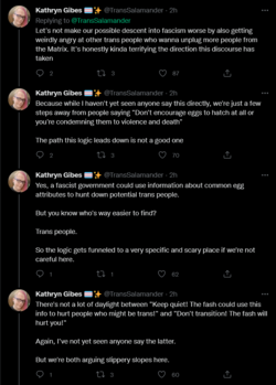 Screenshot 2022-06-11 at 01-39-14 Kathryn Gibes 🏳️‍⚧️✨ on Twitter.png