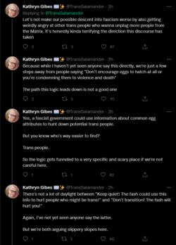 Screenshot 2022-06-11 at 01-39-53 Kathryn Gibes 🏳️‍⚧️✨ on Twitter.png
