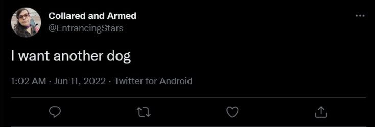 Screenshot 2022-06-11 at 01-54-02 Collared and Armed on Twitter.png