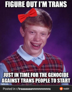 1654922831995.png
